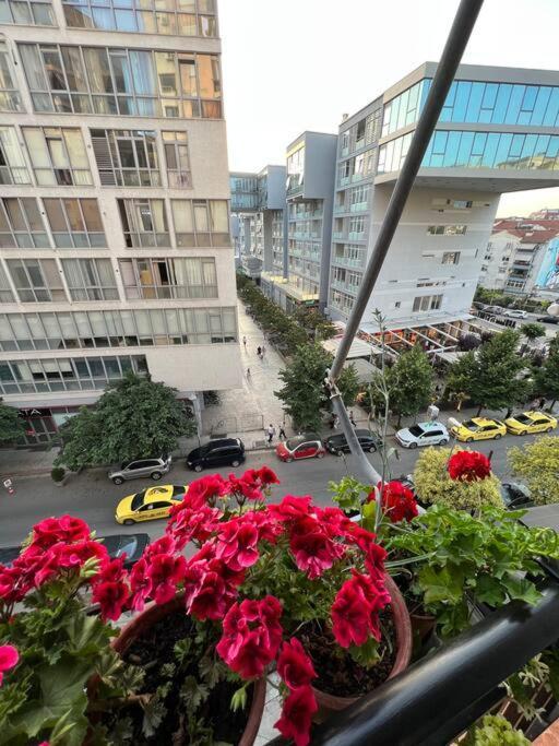 Mimosa'S Apartment With Lovely Balcony Tiran Dış mekan fotoğraf